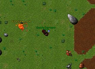 Confu Torture · Tibia 8.50
