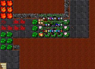 117 paladin aurea