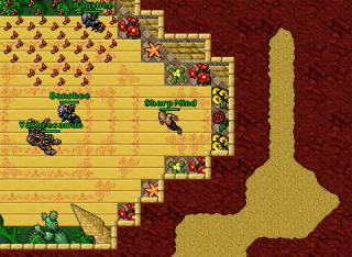 Sharp Mind · Tibia 8.54
