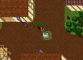 ydruid51 10662