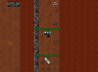 theykilled galfi enzinsain