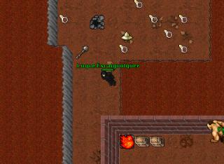 gp-skill-lvl