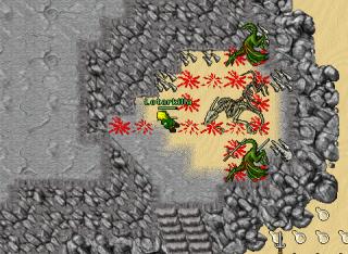 Lotarkilla · Tibia 7.72