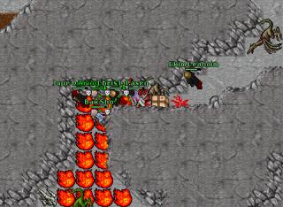 Paseq · Tibia 7.72