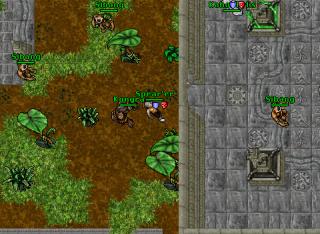 88rp aurea