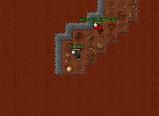 multispawndragi