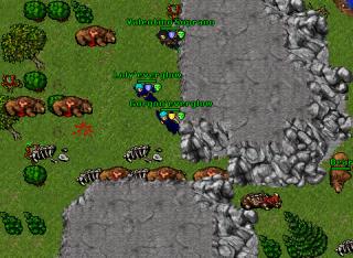 89 knight Askara