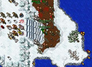 Yasminea · Tibia 8.11
