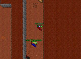 valistominthunt