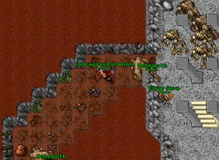 [Harmonia] Behe hunt