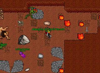 Dragons !