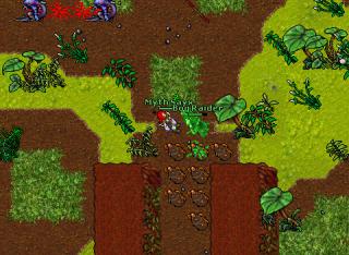 Myth Sayx · Tibia 8.50