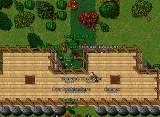 aurea war3