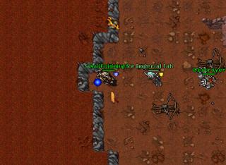 Sir Linu · Tibia 8.41