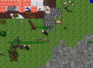 pohteamplx