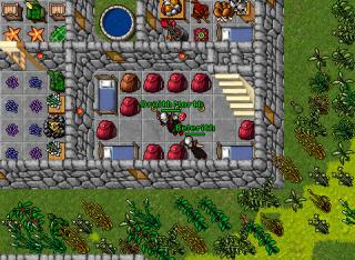 Drajt Bele wl loot 12505