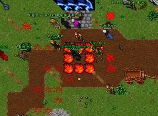 Rubello · Tibia 8.40