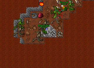 Hide-dragons