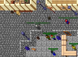 tannetonkapk4