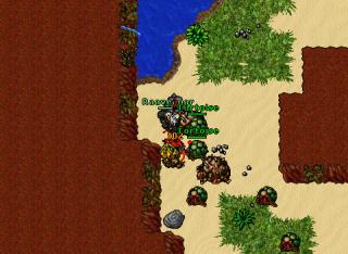 ED062 Tortoise Hunt