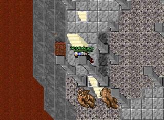 quest Kenga Spirit Otras