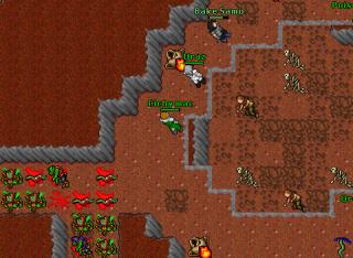 Edron-orcs