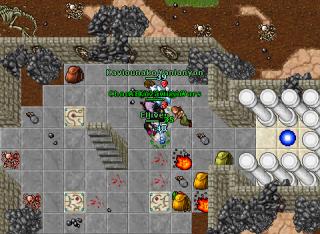Storwo · Tibia 8.30