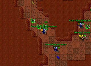 AncientScarabs