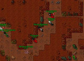 Mena Alulina · Tibia 8.41