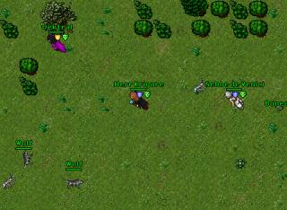 Samra 74 Rp Poh 30203
