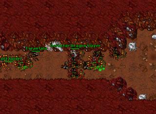 GS Forb Land SoloEQbugged