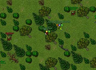 killpk 14537