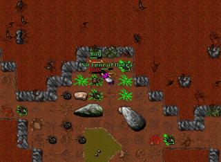 Chain armor quest -