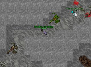 Darkus at Dragons