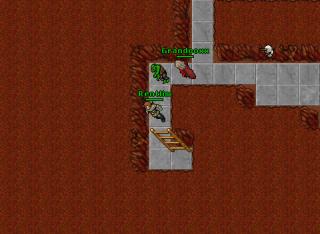 Pking PLS 13543