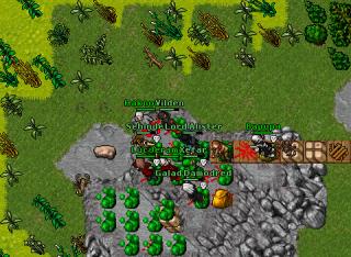 histan 13330