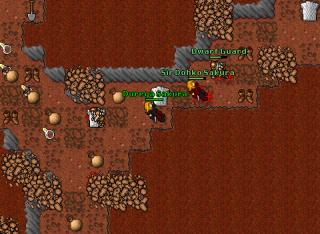 crusader guardia