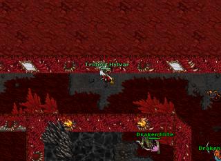 denix alfok suicida