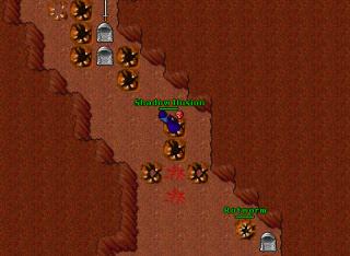 masternova