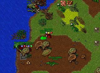Inplaz · Tibia 8.11