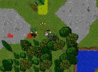 pking 13593
