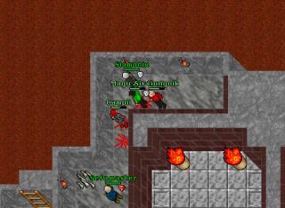 HIBERNAPK74tibia