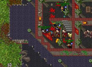 Fron Auris · Tibia 8.54