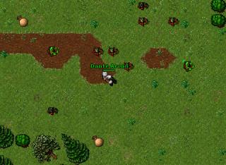 Noble Quest