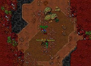 Dharel · Tibia 8.50