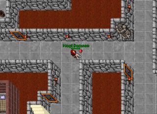 29druidhacked