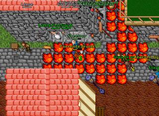 newpking