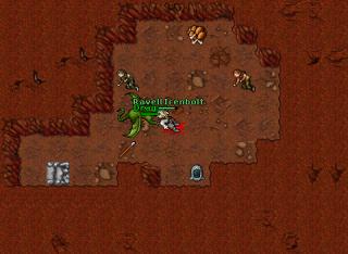 RavellOrnShield