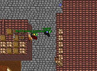 pking elysia 11958
